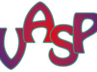 vasp logo