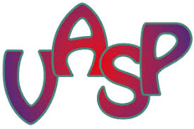 vasp logo